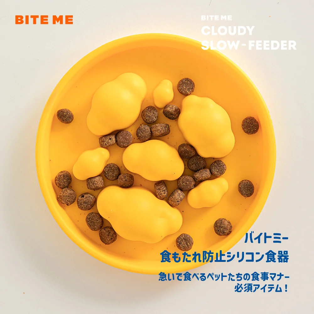ごはんの器