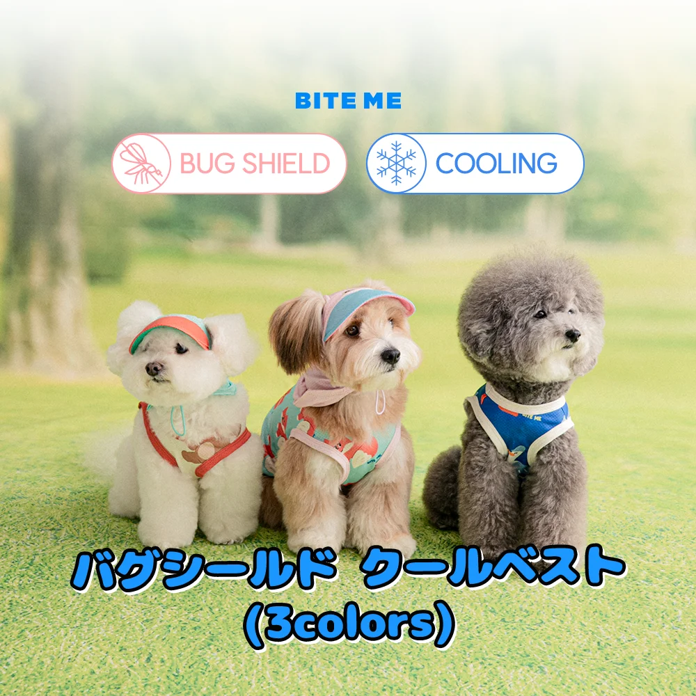 おさんぽウェア