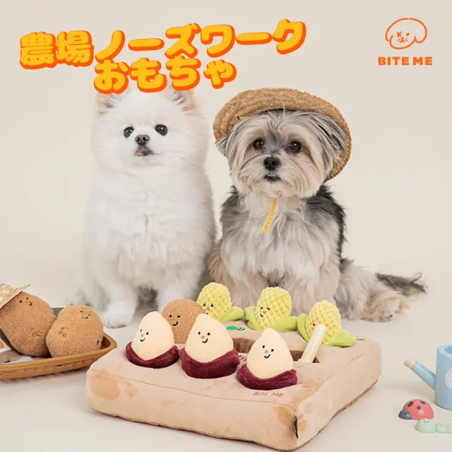 ノーズワークのおもちゃと2匹の犬